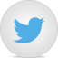 Share on Twitter twitter