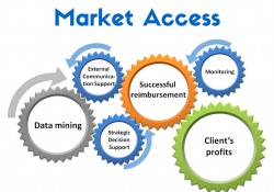 Market Access