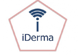 Project Work iderma