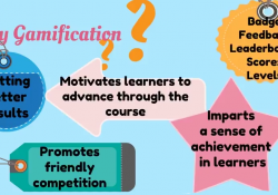 Project Work Digital Learning e Gamification