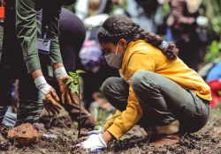 young girl planting a tree in covid times