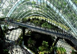 modern building with and inside garden