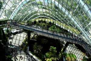 modern building with and inside garden